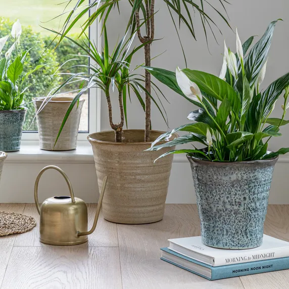 Ivyline Vallo Blue Planter - Small - image 2