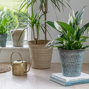 Ivyline Vallo Blue Planter - Small - image 2