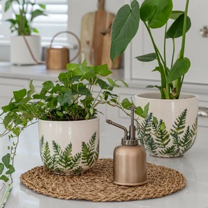 Ivyline Veneto Fern Planter Ø15cm - image 2
