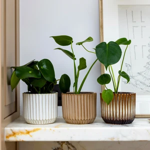 Ivyline Willow Chocolate Planter 12cm - image 2