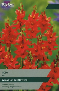 Ixia Red