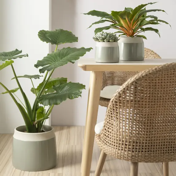 Jarro Green Pot Ø20cm - image 2