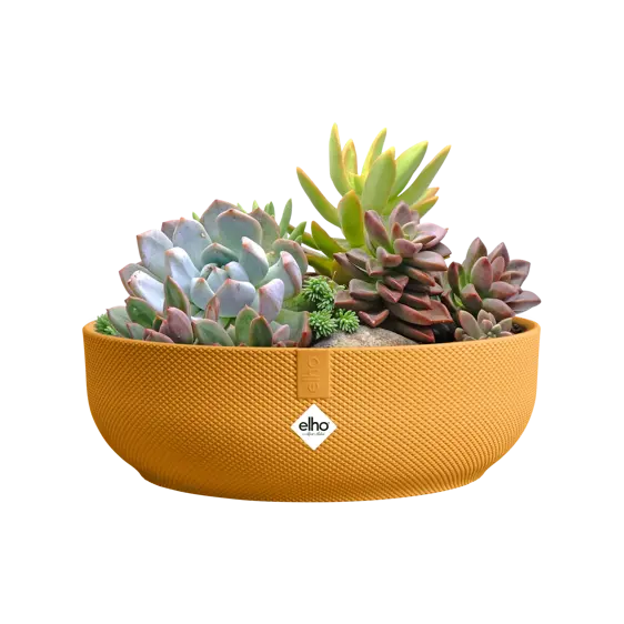 elho Jazz Amber Yellow Bowl Ø28cm - image 2