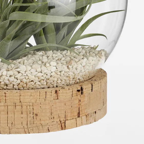 Jillian Terrarium Vase on Stand - Ø18cm - image 2