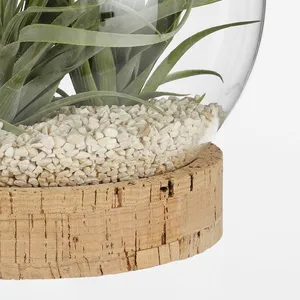 Jillian Terrarium Vase on Stand - Ø15cm - image 2