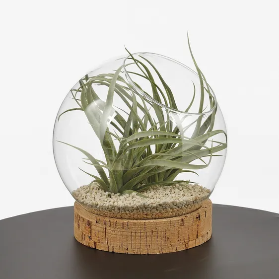 Jillian Terrarium Vase on Stand - Ø18cm - image 3
