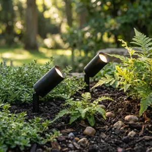 Juno Micro Spotlight Set