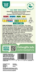 Kale Dwarf Green Curled Seeds - image 2