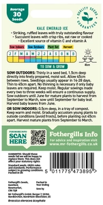 Kale Emerald Ice - image 2