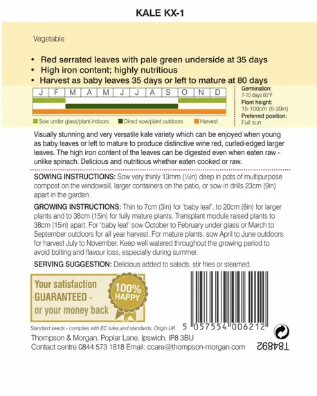 Kale KX-1 Seeds - image 2