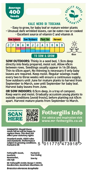 Kale Nero Di Toscana - image 2