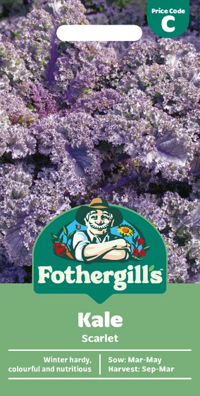 Kale Scarlet - image 1