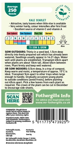 Kale Scarlet - image 2