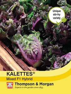 Kalettes Garden Mix F1 - image 1