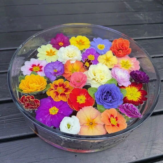 Kenny Bowl Ø25cm - image 2