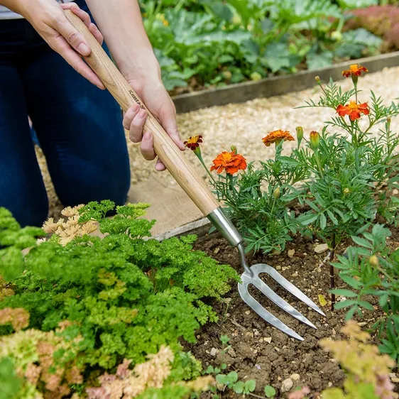 Kent & Stowe Border Hand Fork