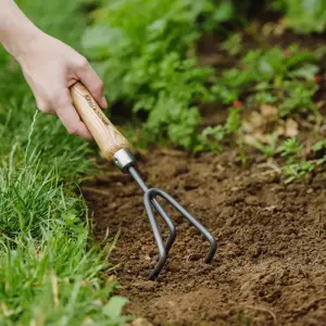 Kent & Stowe Carbon Hand Cultivator - image 1