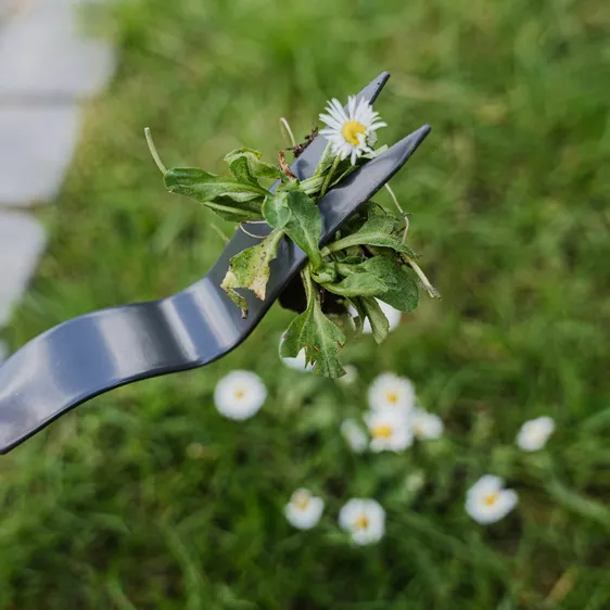 Kent & Stowe Daisy Grubber - image 3