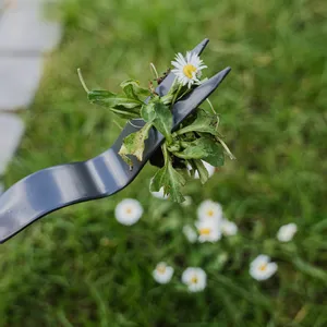 Kent & Stowe Daisy Grubber - image 3