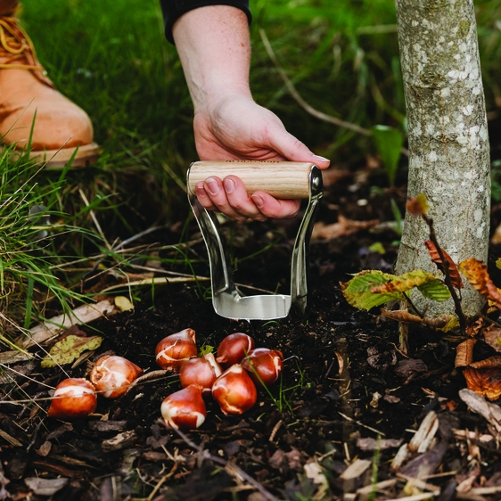 Kent & Stowe Hand Bulb Planter - image 3