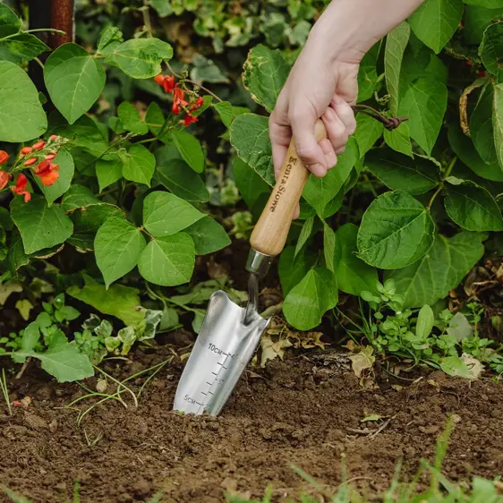 Kent & Stowe Hand Transplanting Trowel - image 1