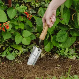 Kent & Stowe Hand Transplanting Trowel