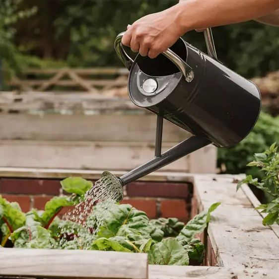 Kent & Stowe Cool Grey Watering Can - image 1