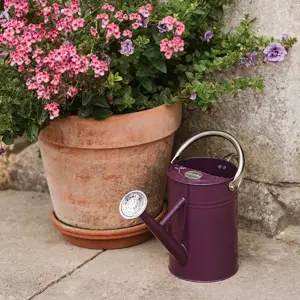 Kent & Stowe Deep Violet Watering Can