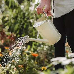 Kent & Stowe Vintage Cream Watering Can - image 1