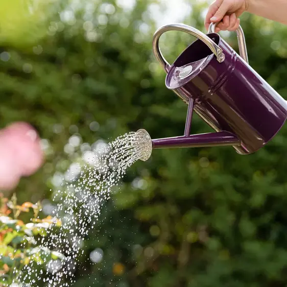 Kent & Stowe Deep Violet Watering Can - image 2