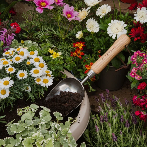 Kent & Stowe Potting Scoop - image 3