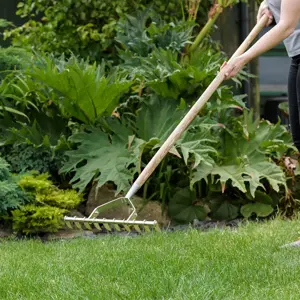 Kent & Stowe Scarifying Rake - image 1