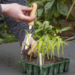 Kent & Stowe Widger - image 2