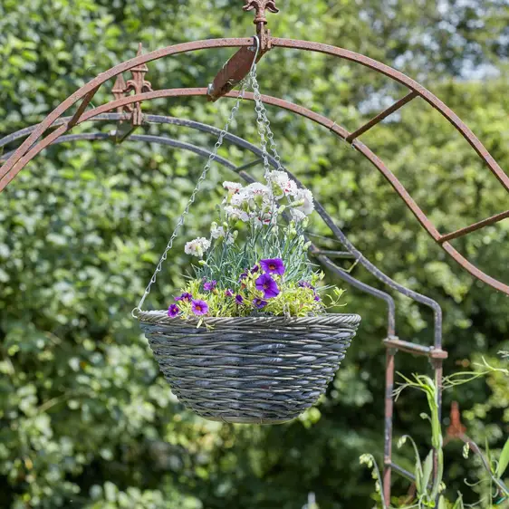 Kielder Hanging Basket 35cm