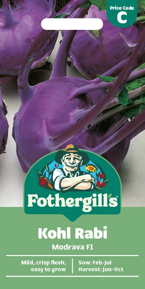 Kohl Rabi Modrava F1 Seeds - image 1
