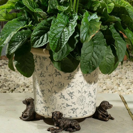 Labrador Pot Feet - image 1