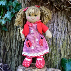 Ladybird Dress Rag Doll