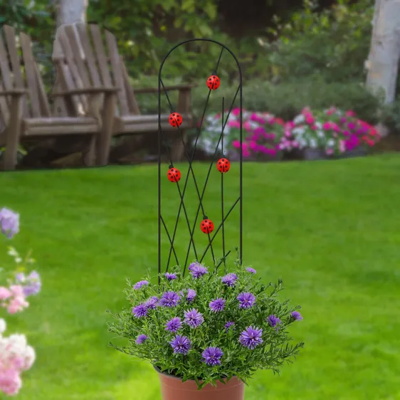 Ladybird Pot Trellis - image 1