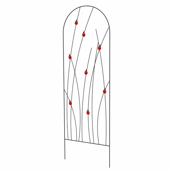 Ladybird Trellis