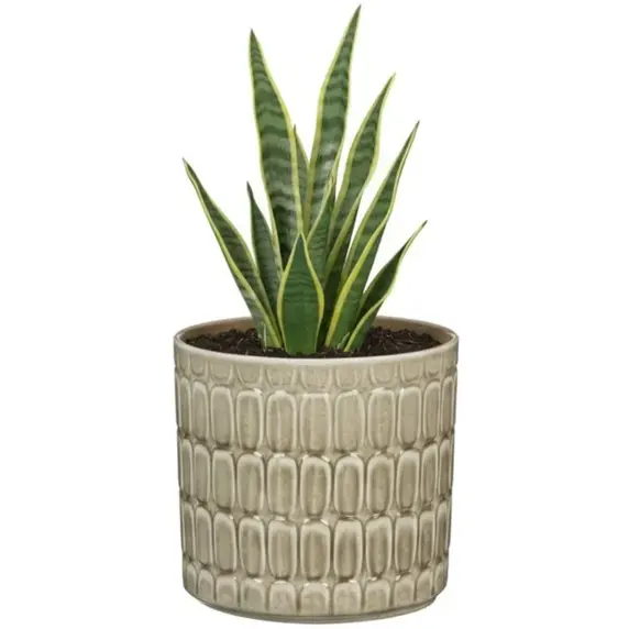 Lagom Beige Pot Ø10cm - image 2