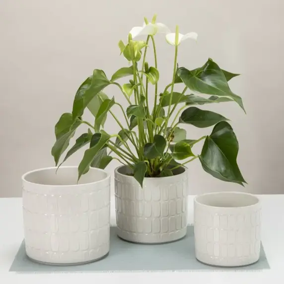 Lagom Cream Pot Ø12cm - image 2