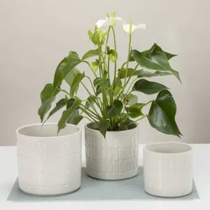 Lagom Cream Pot Ø12cm - image 2