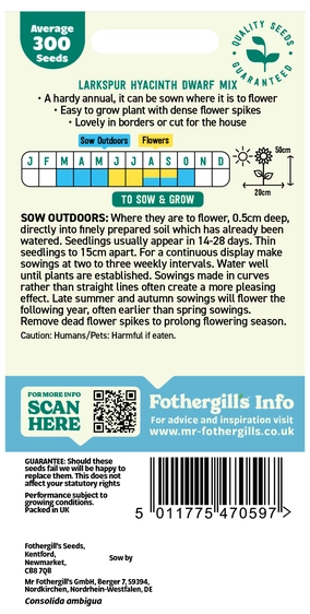 Larkspur Hyacinth Dwarf Mixed - image 2