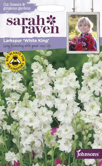 Larkspur White King - image 1