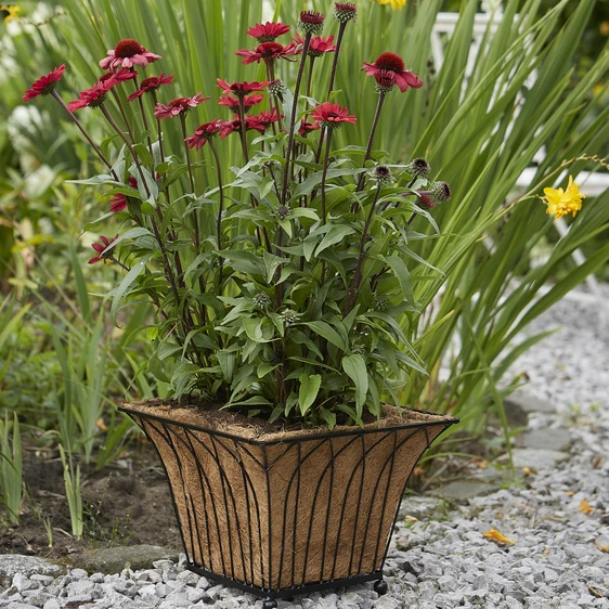 Lattice Square Planter With Liner - image 1