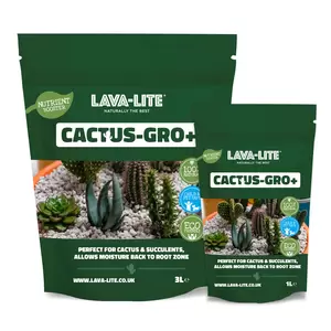 Lava-Lite Cactus-Gro+ Potting Mix 3L - image 1