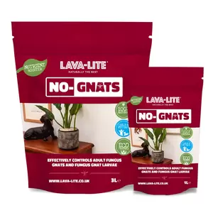 Lava-Lite No-Gnats Pest Control 3L - image 1