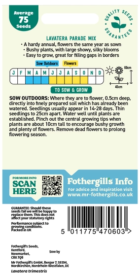 Lavatera Parade Mixed - image 2