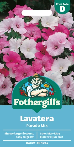 Lavatera Parade Mixed - image 1