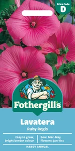 Lavatera Ruby Regis - image 1